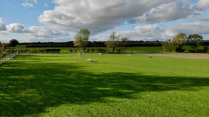 Waterheath Dog Meadow — secure dog field in Beccles