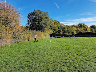 Hounds & Bounds Sulhamstead — secure dog field in Reading