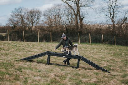 Waggy Tails Meadow - Dog field in Barnstaple — secure dog field in Barnstaple
