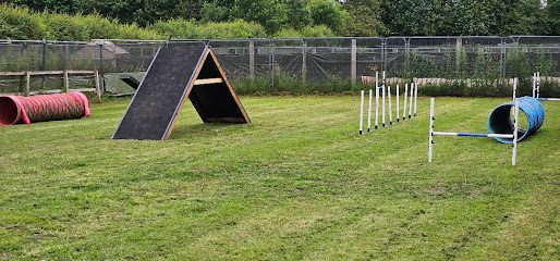 Astley Dog Park and Agility . — secure dog field in Manchester