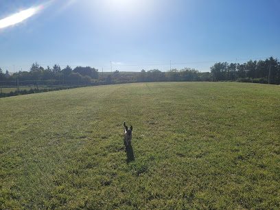 Run Free Dog Fields - Bridge of Don — secure dog field in Bridge of Don