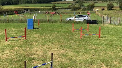 K9 Playtime — secure dog field in Glasgow