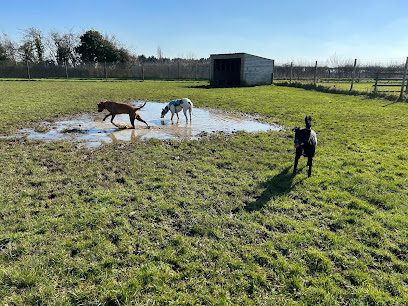 Deanshanger Dog Walking Field — secure dog field in Milton Keynes