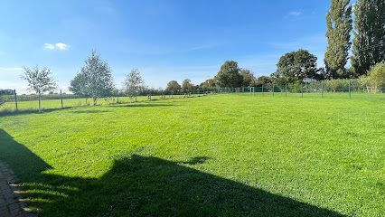 Marston Gables Doggy Paddocks — secure dog field in Stafford