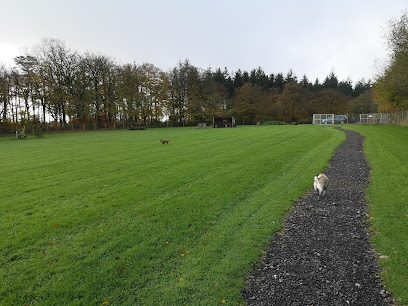 Dog Walking Meadow — secure dog field in Taunton