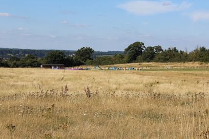 Smart Dogs Training & Dog Walking Field — secure dog field in Reading