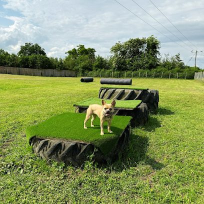 The Dogs Paddocks Nantwich — secure dog field in Nantwich