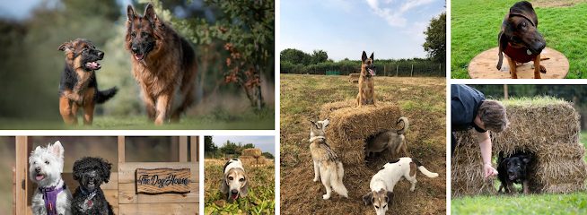 Liberty Orchard Secure Dog Field — secure dog field in Stonehouse