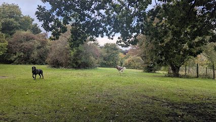Yogis Field — secure dog field in Cranbrook