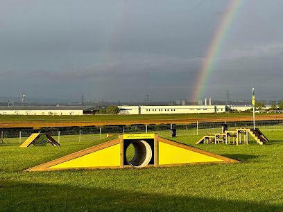 Unleash the Dogs - Hillington Dog Fields — secure dog field in Paisley