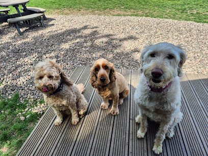 Barns Farm Dog Field — secure dog field in Burntisland