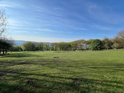 The Dogs Paddocks Longdendale — secure dog field in Hyde