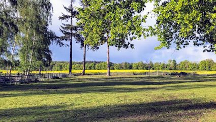 K9 Woodland Services — secure dog field in Reading