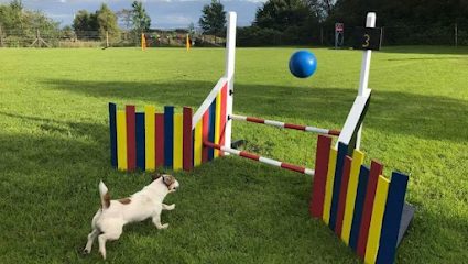 Skipadoos - The secure dog field - Bolton — secure dog field in Bolton
