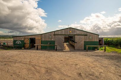 Stash Stables Livery & Dog Park — secure dog field in Dudley