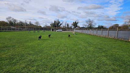 Pickering Dog Fields — secure dog field in Pickering