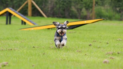 Great Budworth Dog Park — secure dog field in Northwich