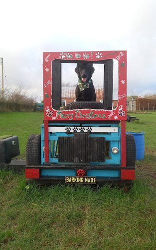 4pawsplay — secure dog field in Carrutherstown