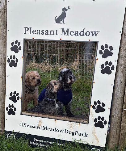 Pleasant Meadow Dog Park — secure dog field in Carmarthen