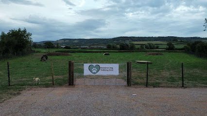 Somerton Dog Walking Field — secure dog field in Somerton
