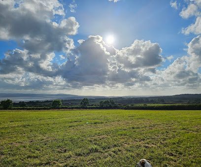 Dee Dog Park at Church Farm — secure dog field in Wirral