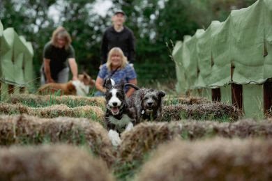 Ely Dogs Activity Meadows — secure dog field in ELY