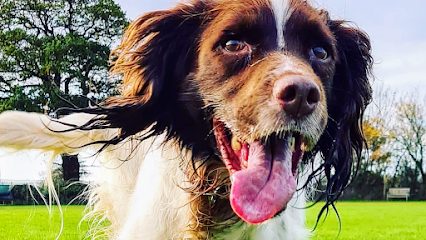 Hoecrossfields — secure dog field in Waterlooville