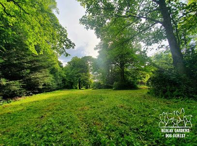 Bedlay Gardens Dog Forest — secure dog field in Chryston