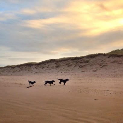 Fellowship Dog Training — secure dog field in Berwick-upon-Tweed