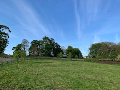 Limber Dog Park Ltd — secure dog field in Grimsby