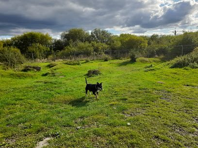 St James' Bark (Private Enclosed Dog Field Hire) — secure dog field in Newcastle upon Tyne