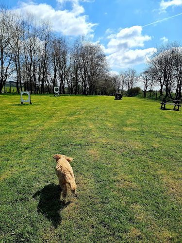 Paws Unleashed — secure dog field in Lanark
