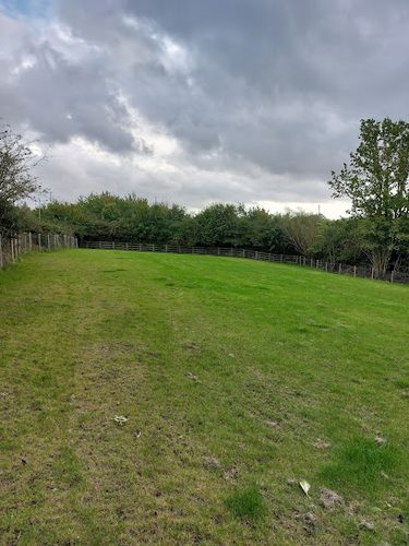 JP's Pooch Paddock — secure dog field in Leicester