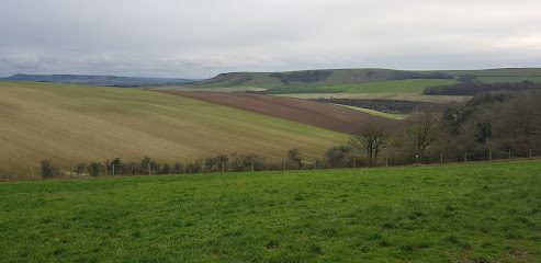 Southdowns Unleashed — secure dog field in Lewes