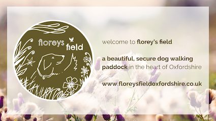 Florey's Field Oxfordshire - Secure Dog Walking Paddock — secure dog field in Witney