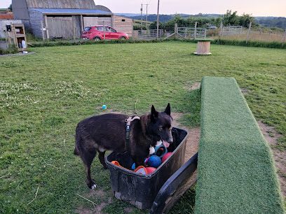 Ruby's Field. Secure Dog Park — secure dog field in Whitland