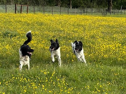 Bromsgrove Field Hire — secure dog field in Bromsgrove
