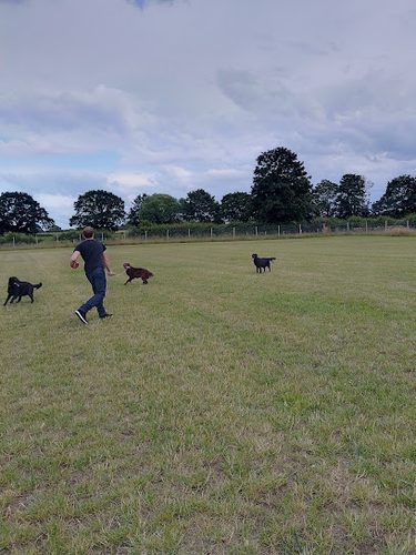 Corners K9 Fields — secure dog field in York