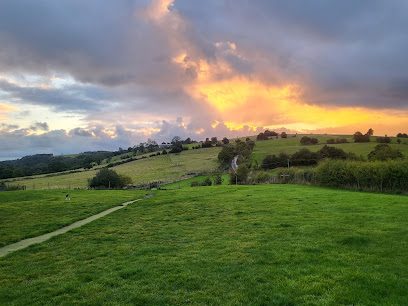 Paddocks For Paws — secure dog field in Leek