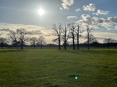 Bentley's Fields — secure dog field in Horley