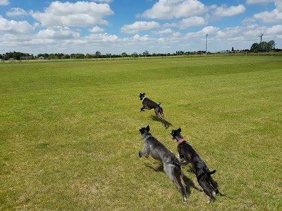 Cambridgeshire Canine Creche — secure dog field in March