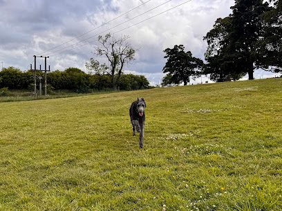 Run Free Dog Fields - South Queensferry — secure dog field in South Queensferry