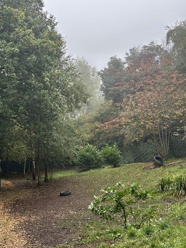 Doggos' World — secure dog field in Altrincham