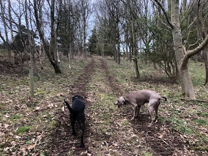 Smeaton Dogwood — secure dog field in East Linton