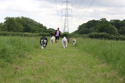 Dukes Paddock — secure dog field in Wellington