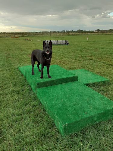 Pinchbeck Dog Paddock — secure dog field in Spalding