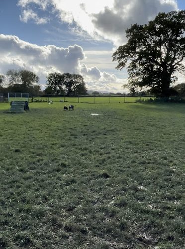 Rowton Grange Secure Dog Field — secure dog field in Shrewsbury