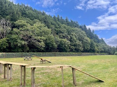 Panpwnton Dog Park — secure dog field in Knighton