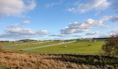 Dean Farm Dog Park — secure dog field in Dunfermline