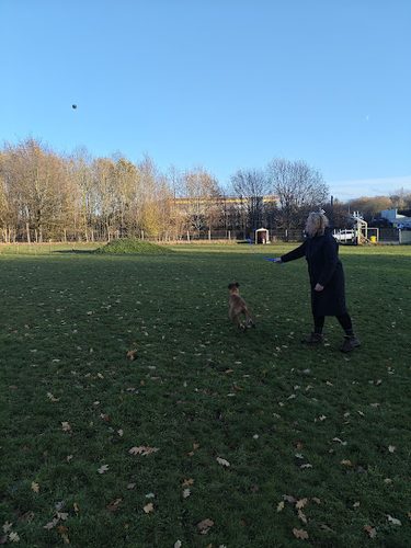 Release The Dogs — secure dog field in Manchester
